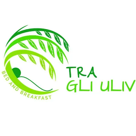 Tra Gli Ulivi Rocca San Giovanni