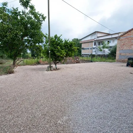 Tra Gli Ulivi